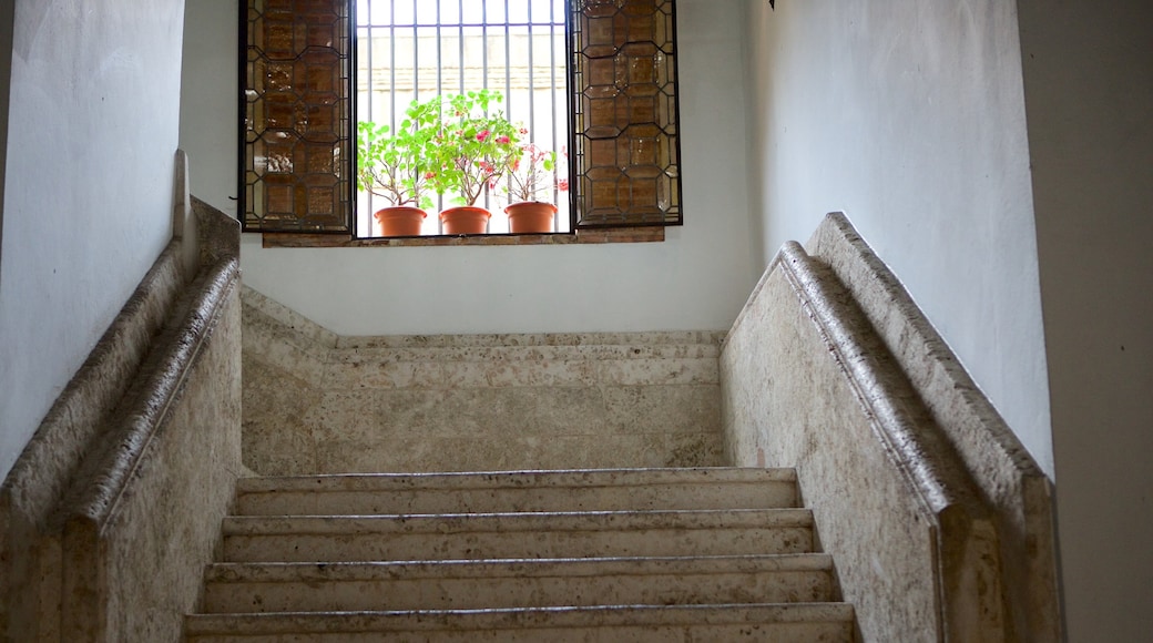 Museo de las Casas Reales toont interieur