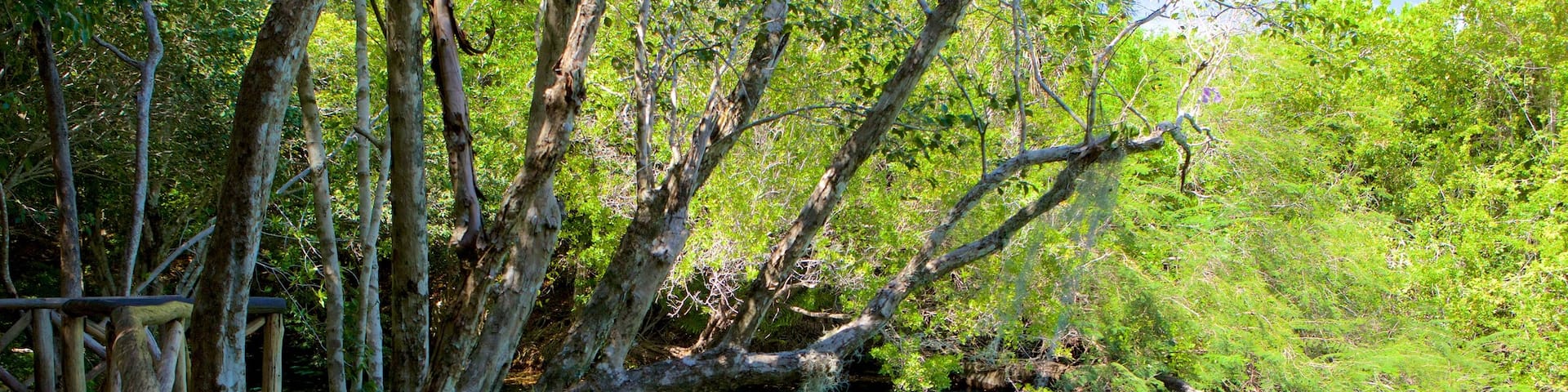 Indigenous Eyes Ecological Park featuring a lake or waterhole and a garden