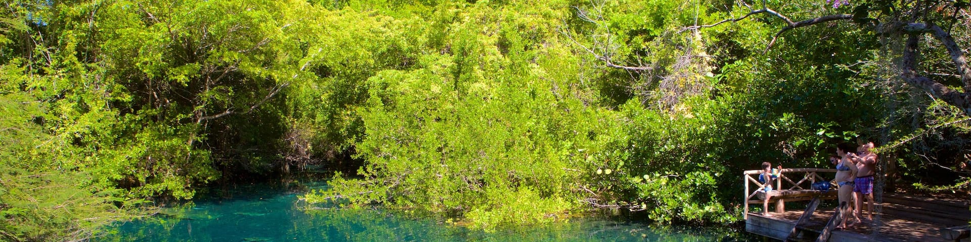 Indigenous Eyes Ecological Park showing a park and a lake or waterhole