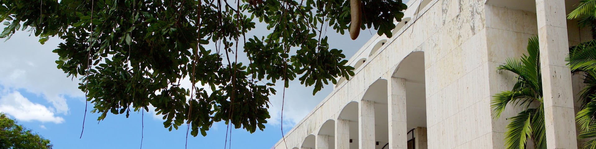 Plaza de la Cultura welches beinhaltet Platz oder Plaza