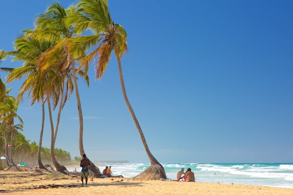 マカオ ビーチ どの含み 砂浜 と 常夏の風景