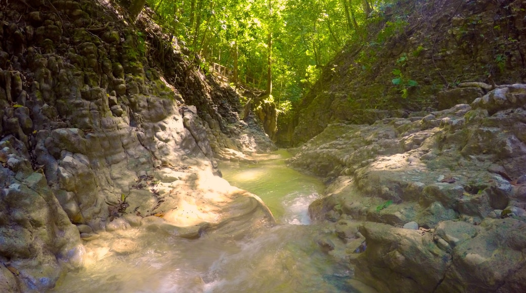 Cascadas Damajagua mit einem Fluss oder Bach