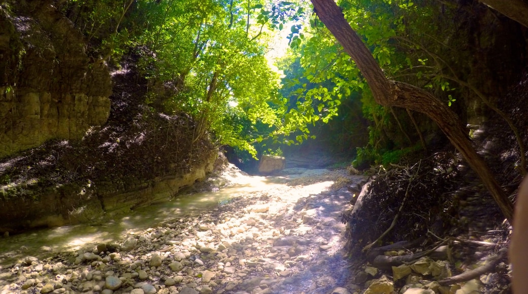 27 Charcos de Damajagua ofreciendo un río o arroyo