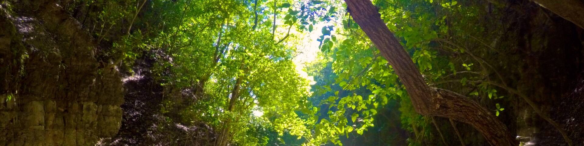 27 Charcos showing a river or creek