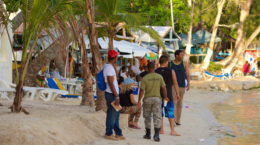 República Dominicana mostrando paisagens litorâneas assim como um pequeno grupo de pessoas