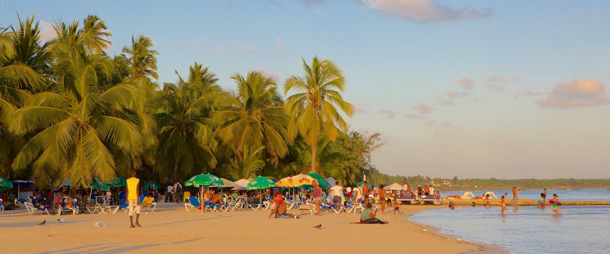 Dominican Republic showing a beach