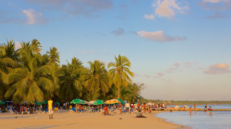 Dominican Republic showing a beach