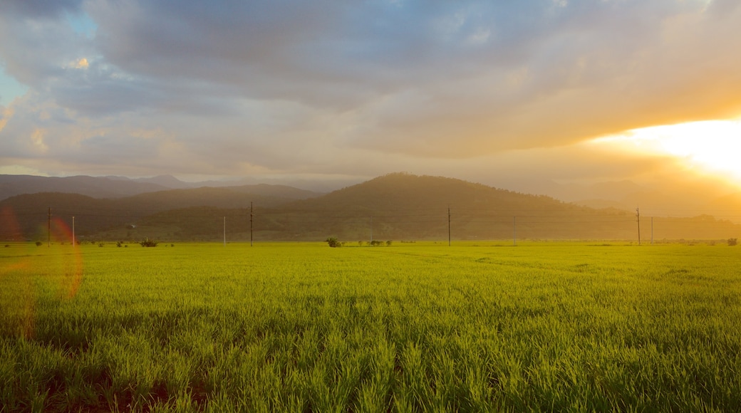 Dominican Republic showing a sunset and landscape views