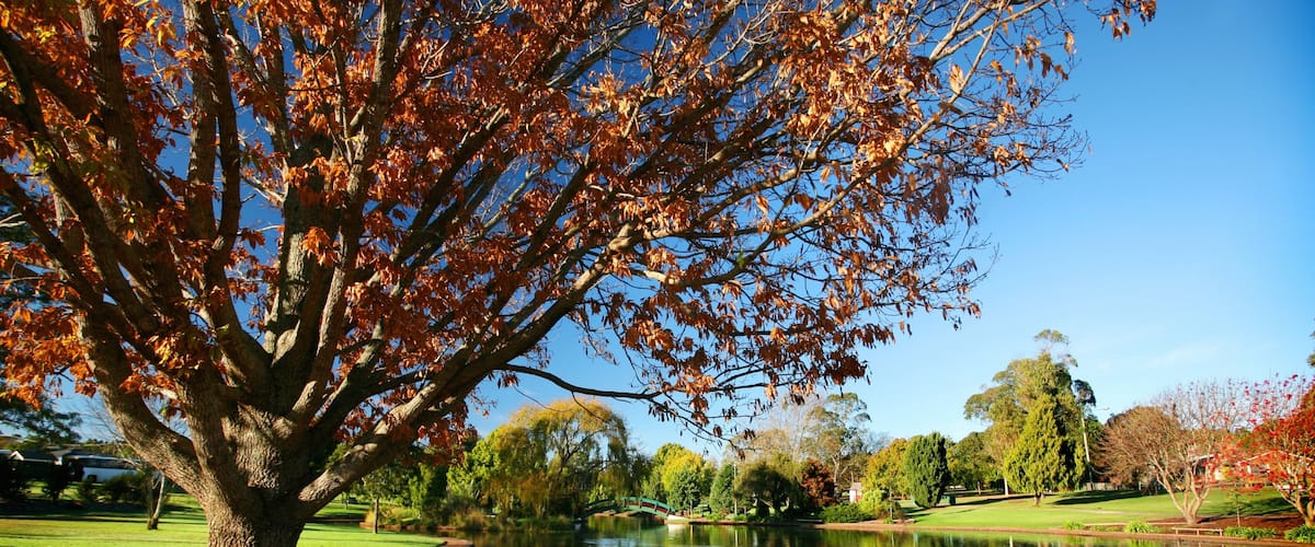 Darling Downs featuring a pond, autumn leaves and a garden