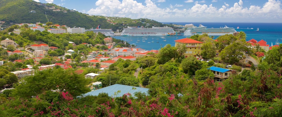 Charlotte Amalie which includes a coastal town and general coastal views