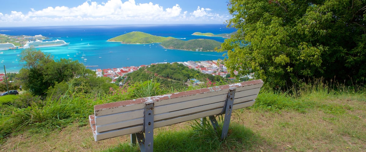 Charlotte Amalie showing landscape views and general coastal views