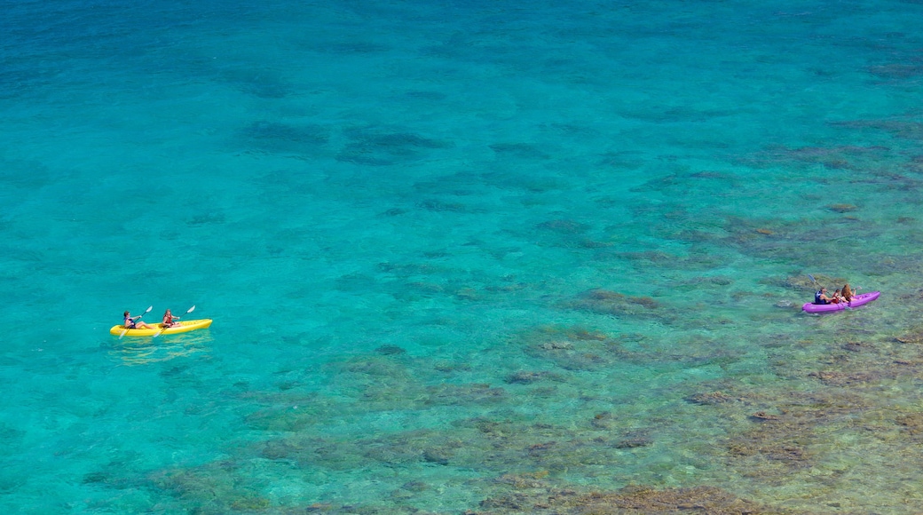 Frydendal showing kayaking or canoeing and colourful reefs