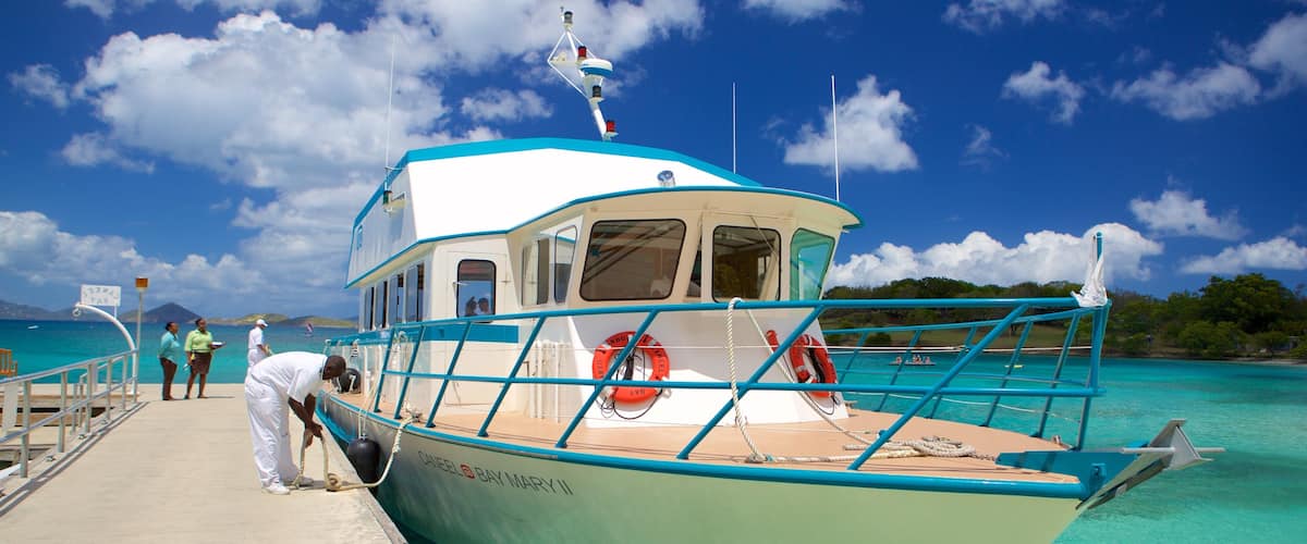 Caneel Bay featuring general coastal views