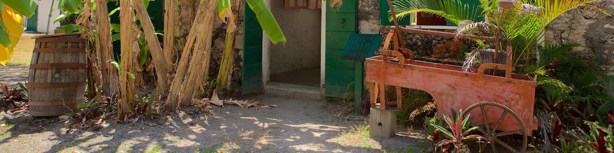 Whim Plantation Museum