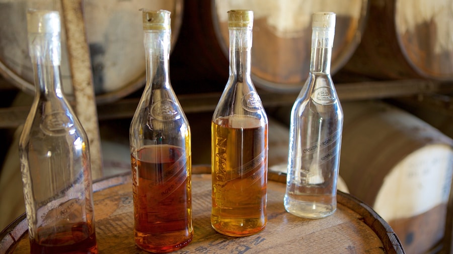 Cruzan Rum Factory featuring drinks or beverages