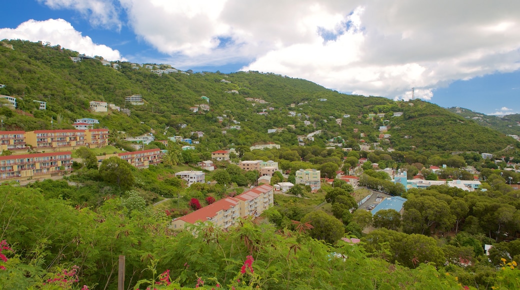 Charlotte Amalie featuring a coastal town and tranquil scenes