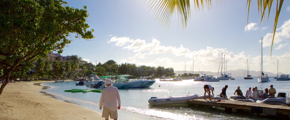 Cruz Bay featuring a bay or harbor and a sandy beach