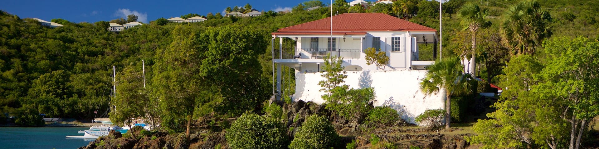 Cruz Bay showing a bay or harbour