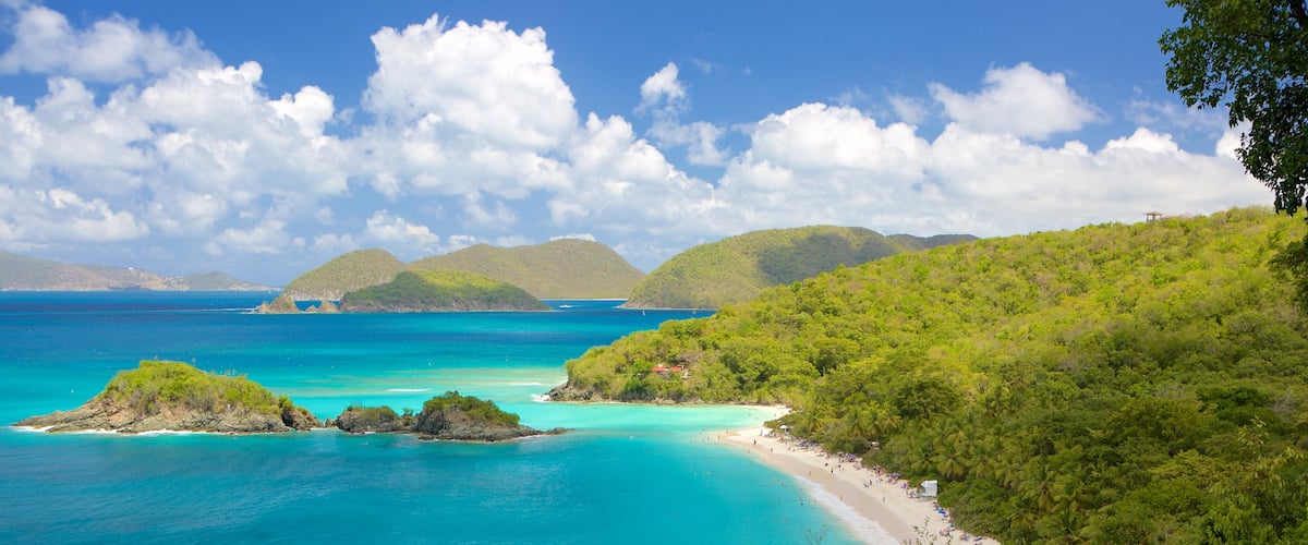 Trunk Bay featuring ranta ja lahti tai satama