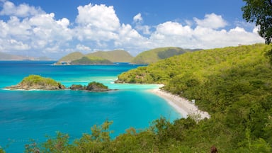 Trunk Bay som inkluderar en hamn eller havsbukt och en sandstrand