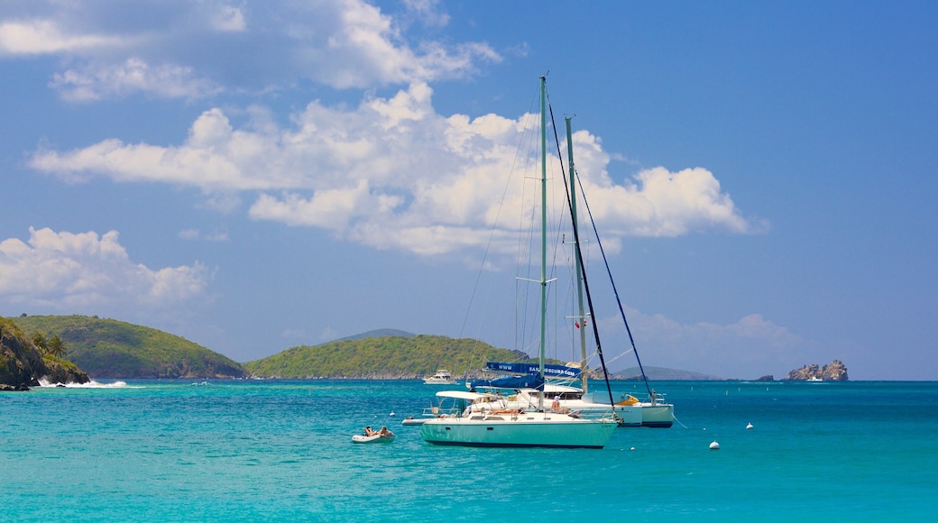 Cinnamon Bay showing a bay or harbour