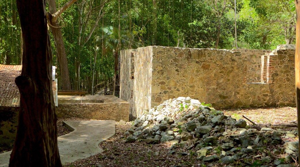 Cinnamon Bay showing heritage elements and building ruins