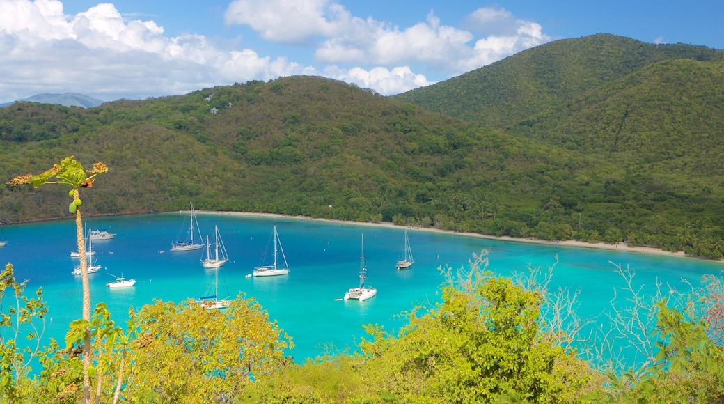 Maho Beach showing a bay or harbor