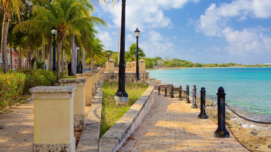 Frederiksted ofreciendo vista general a la costa