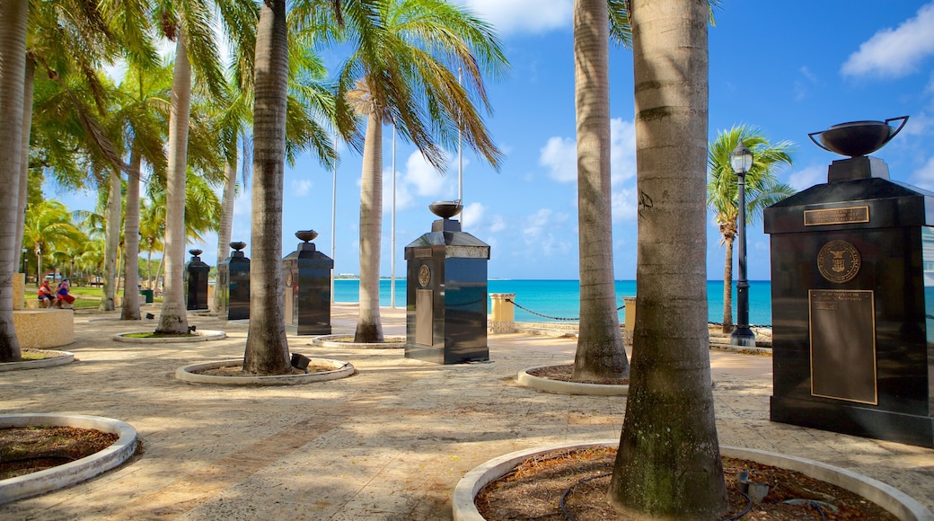 Frederiksted mostrando vista della costa e paesaggio tropicale