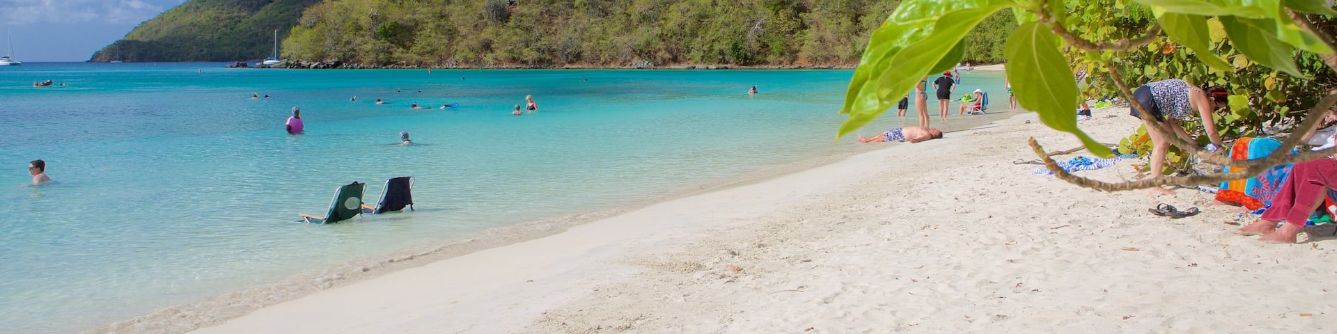 Maho Beach which includes tropical scenes and a beach