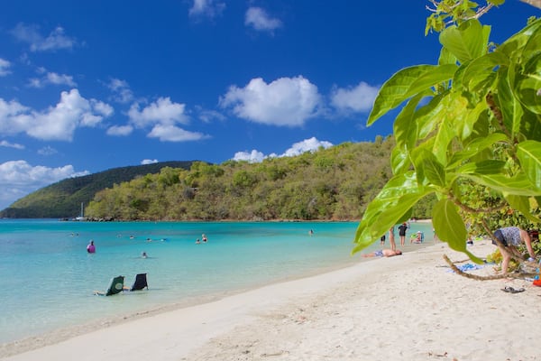 Plage de Maho qui includes plage de sable et scĂšnes tropicales
