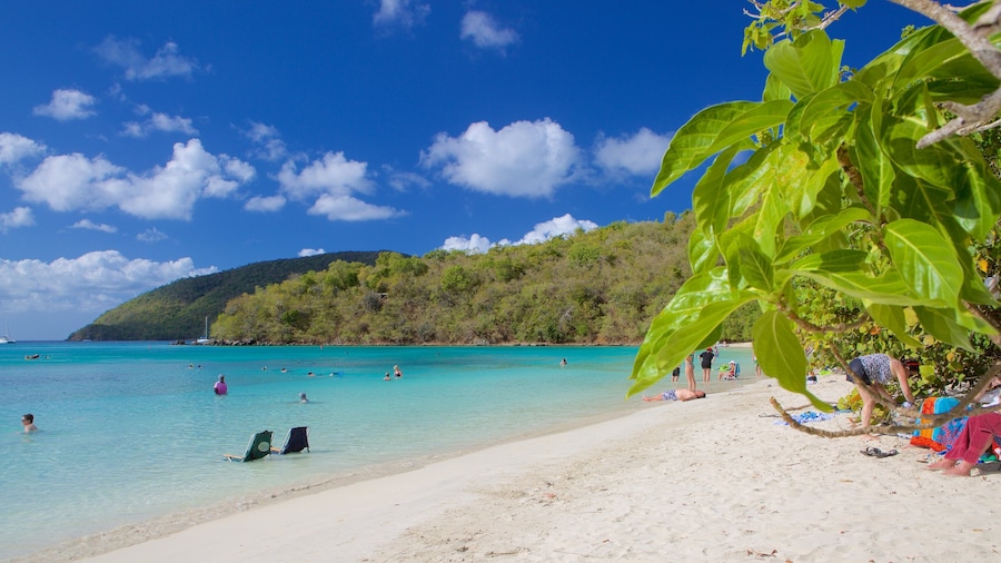 Maho Beach bevat tropische uitzichten en een zandstrand