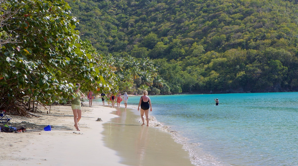 Maho Beach showing a beach