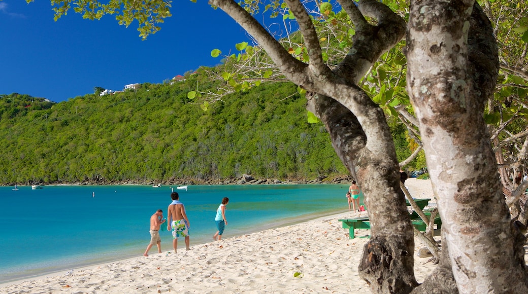 Magens Bay which includes a sandy beach