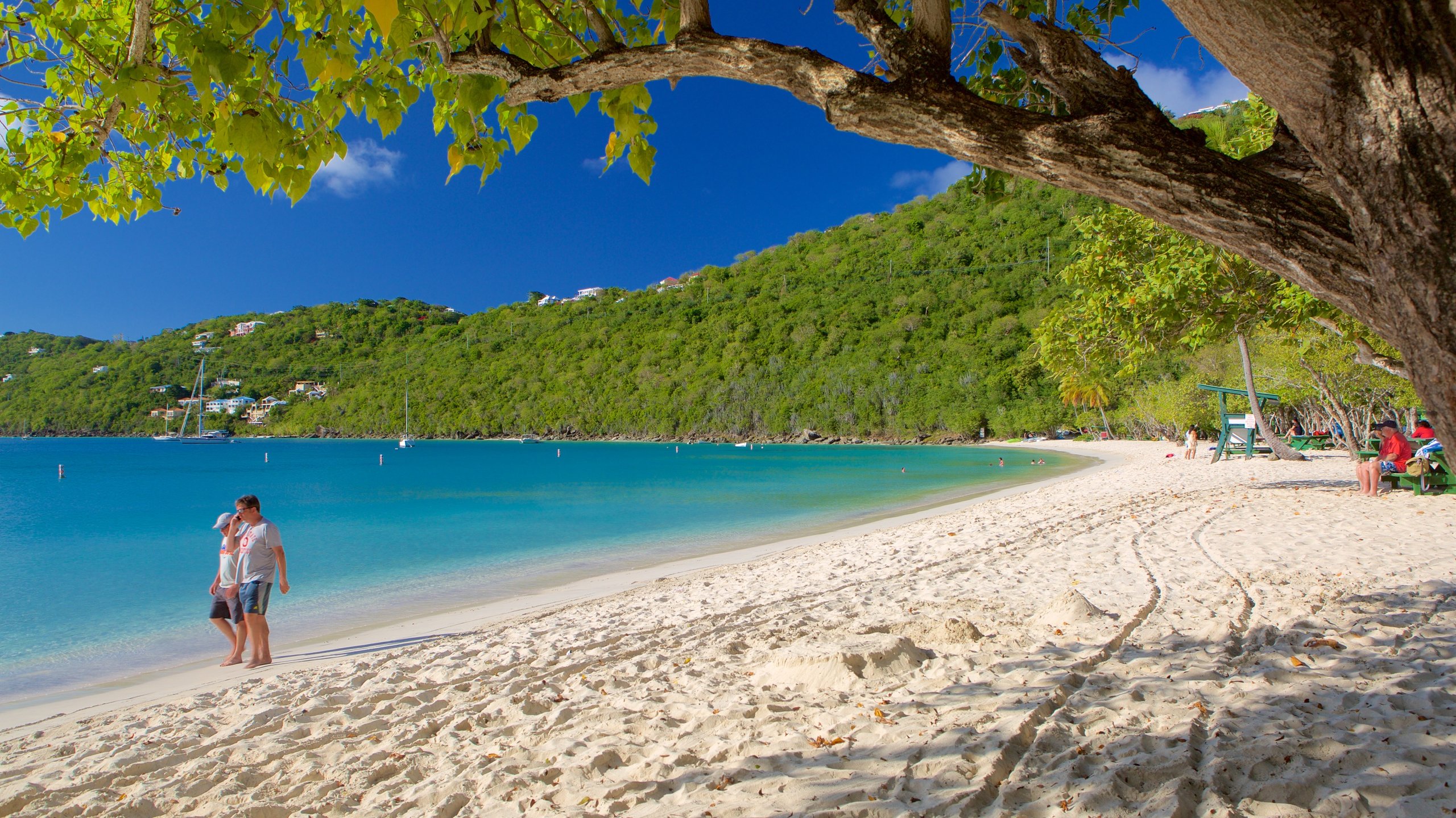 Magens Bay showing a beach