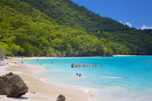 Cinnamon Bay mettant en vedette plage de sable