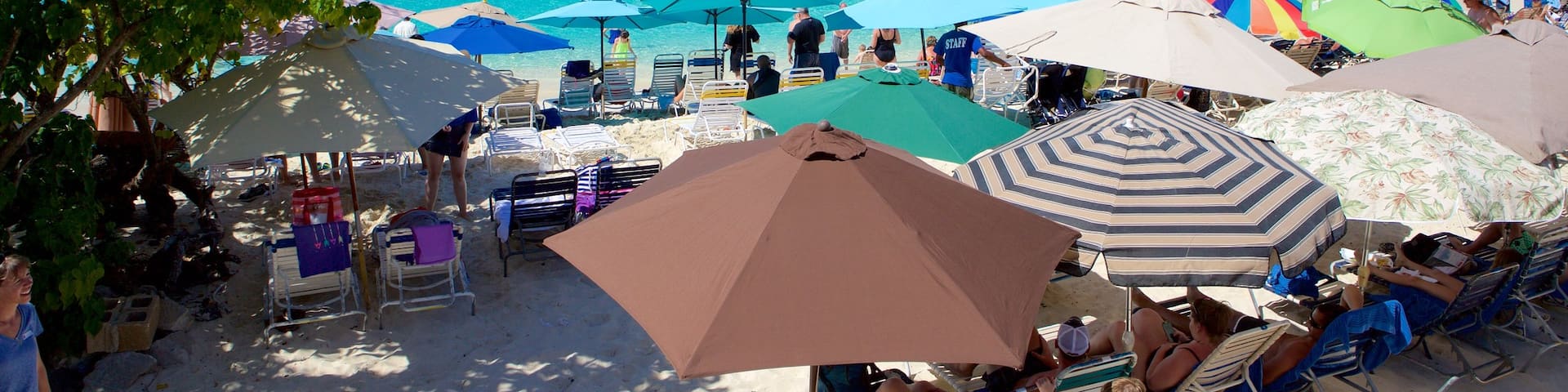 コキ ビーチ どの含み 常夏の風景 と 砂浜