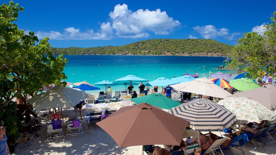 Coki Beach featuring tropical scenes and a beach