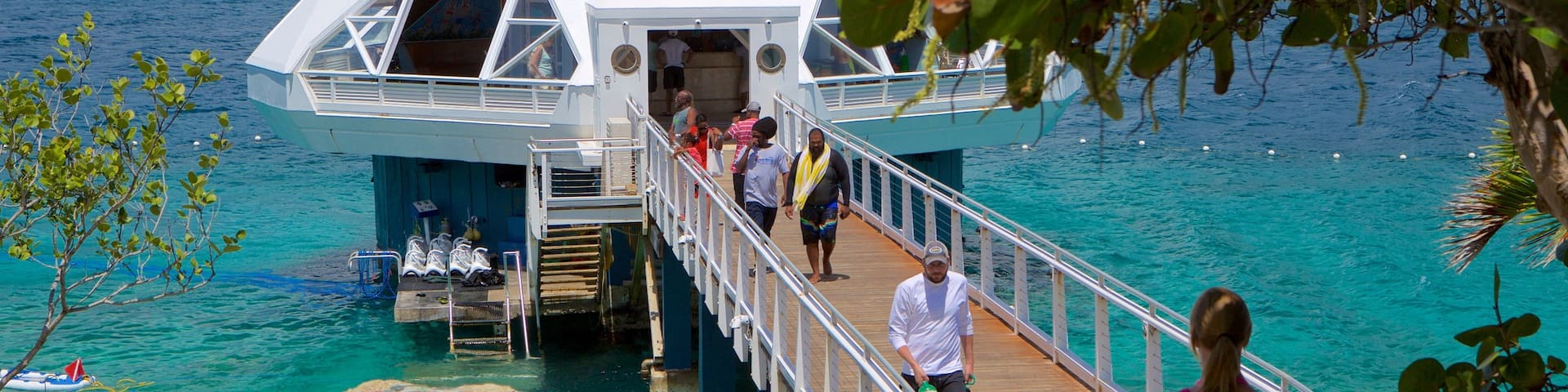 Coral World Ocean Park showing marine life and general coastal views as well as a small group of people