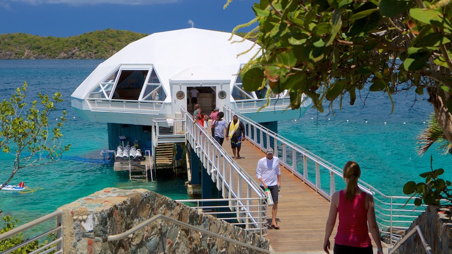 Coral World Ocean Park featuring general coastal views and marine life as well as a small group of people