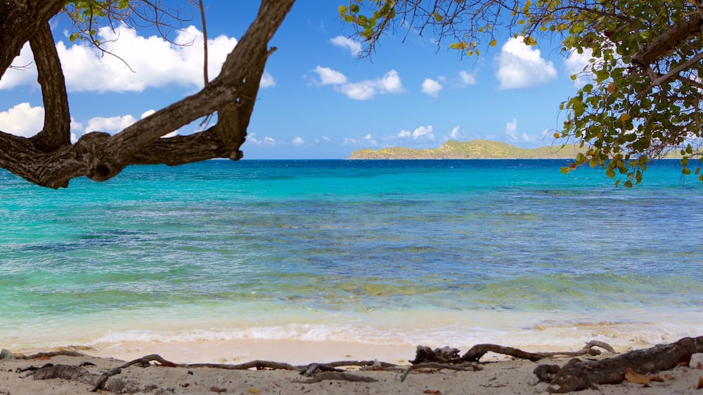 Sapphire Beach montrant scènes tropicales et plage