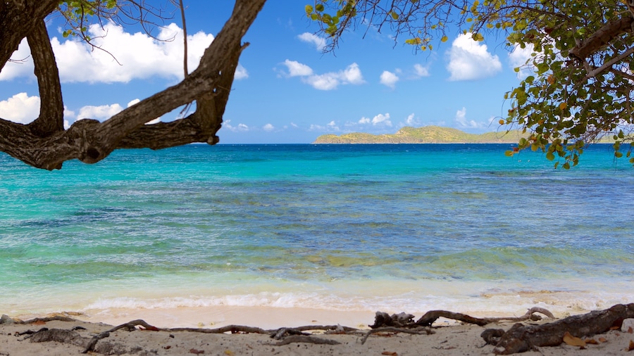 Sapphire Beach toont een zandstrand en tropische uitzichten