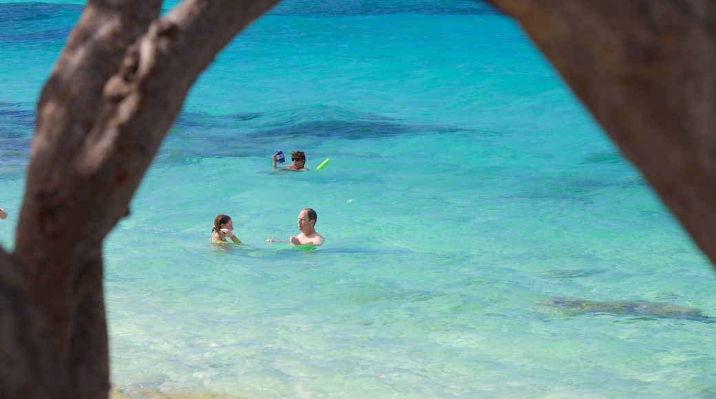 Sapphire Beach showing general coastal views and swimming