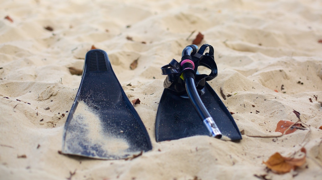 Honeymoon Beach som inkluderar snorkling