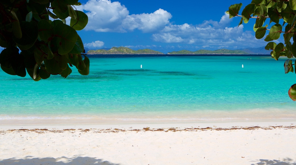 Smith Bay Beach showing a beach and tropical scenes