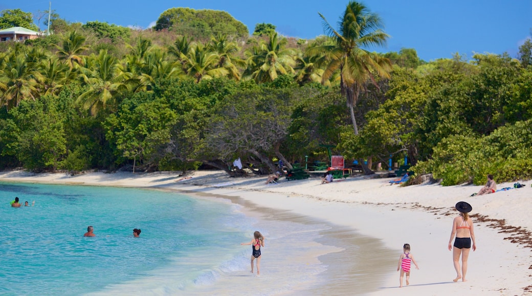 Smith Bay Beach featuring a sandy beach as well as a small group of people