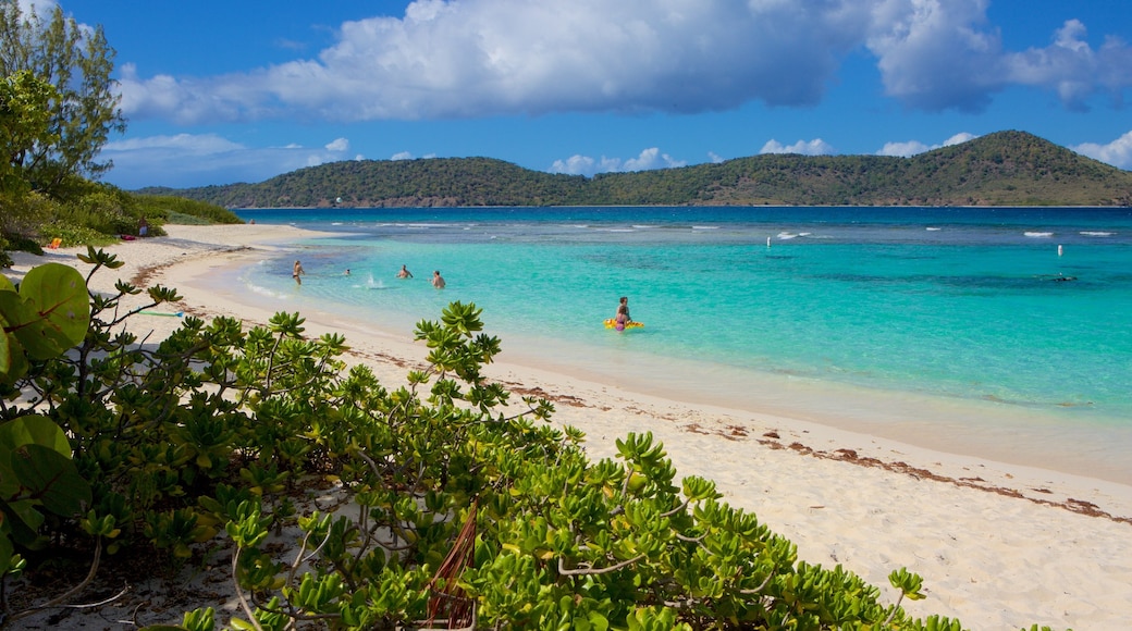 Smith Bay Beach toont tropische uitzichten en een strand