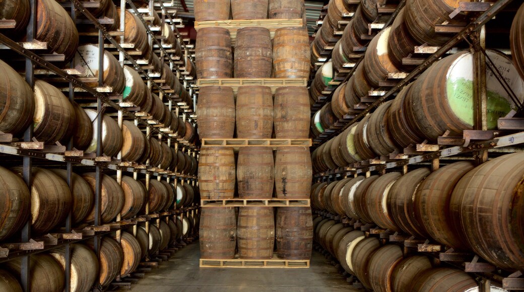 Fábrica de ron Cruzan