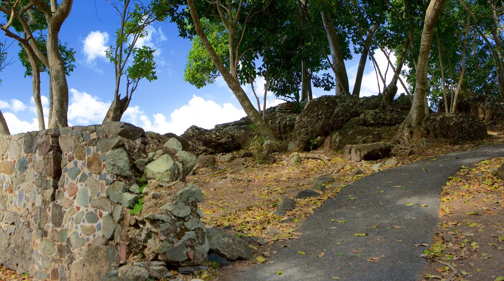 Annaberg Plantation showing a park