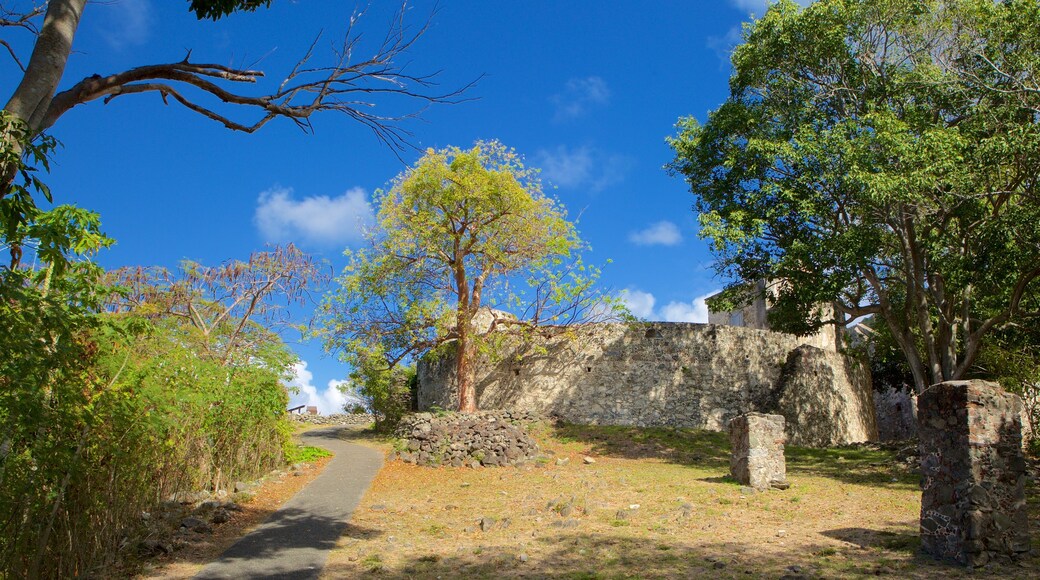 Annaberg Plantation showing building ruins and heritage elements